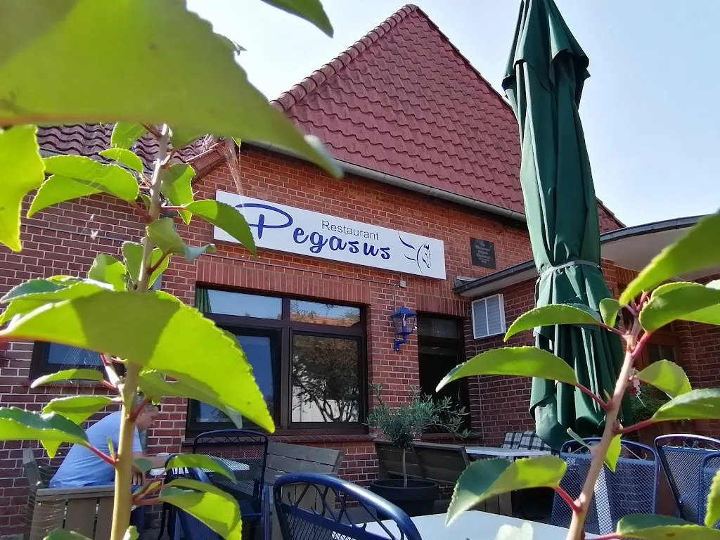 Pegasus ristorante a Rübenberge
