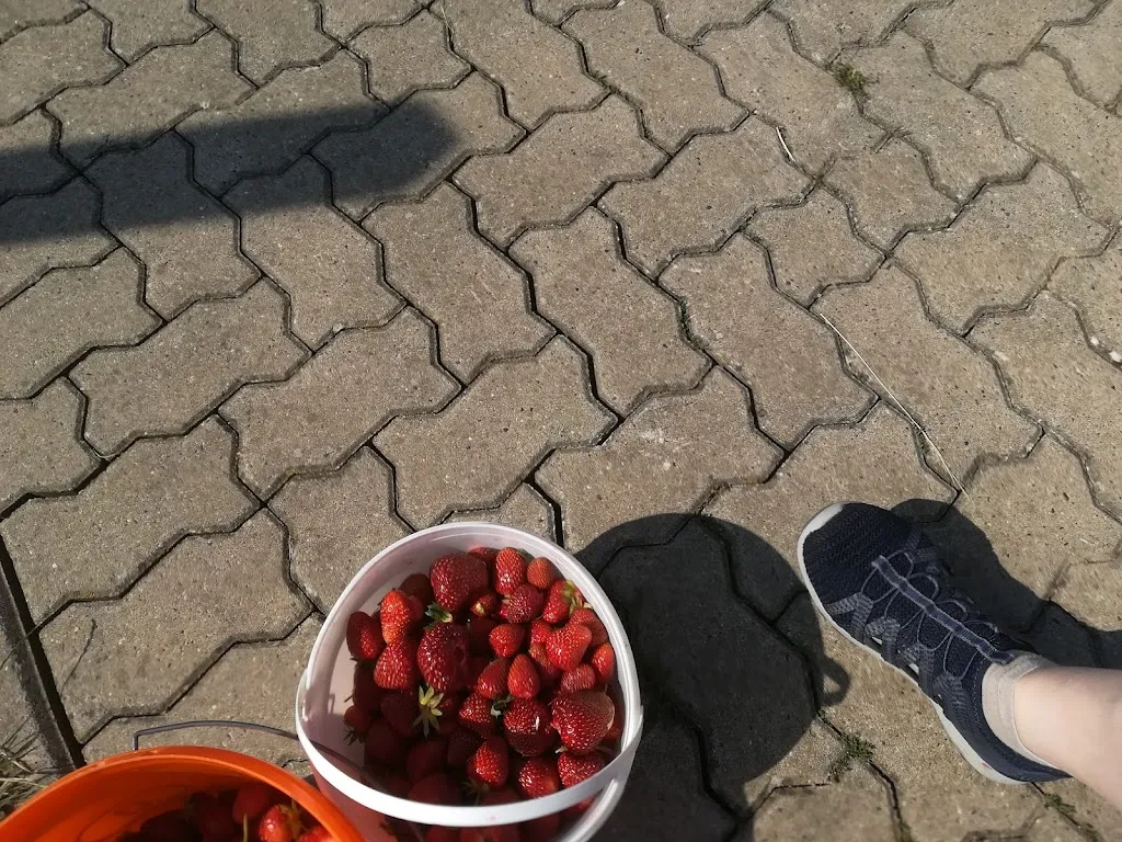 Menu_Eggelmanns Hofcafe_Obernkirchen_immagine_2