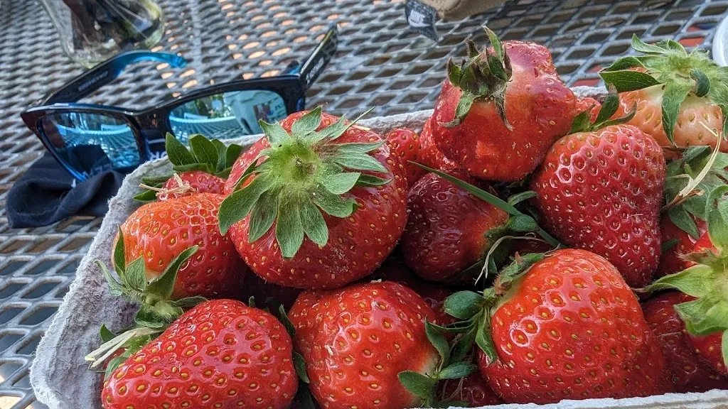 Menu_Eggelmanns Hofcafe_Obernkirchen_immagine_3