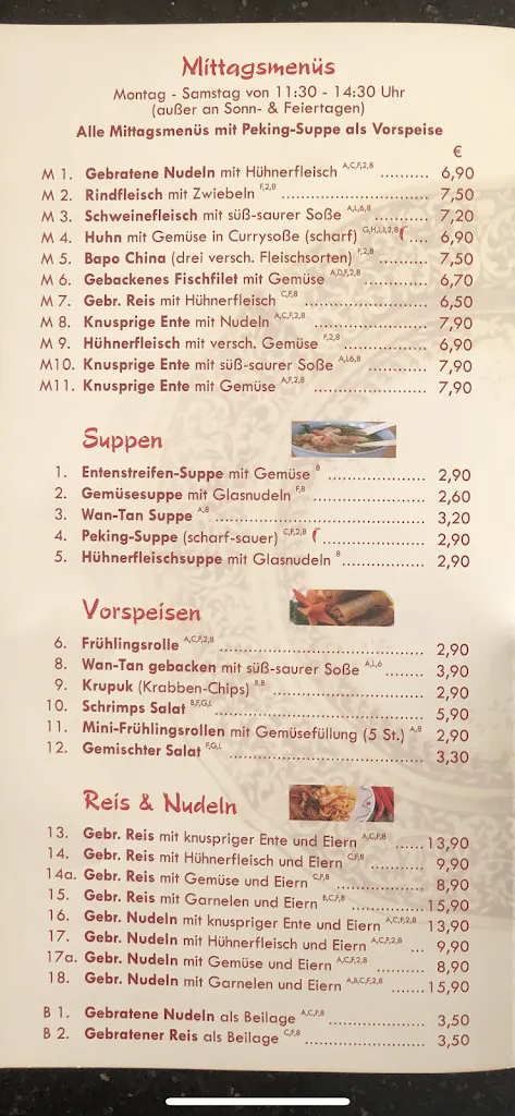 Menu_Wok Restaurant_Ergolding_image_2