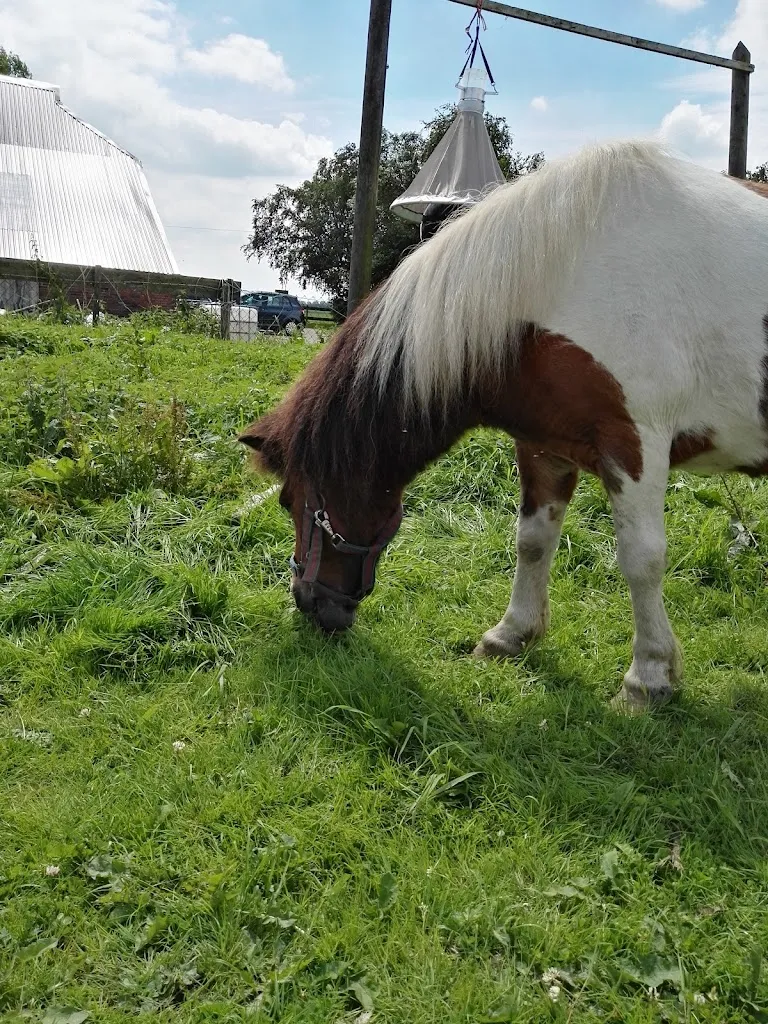 Hof Klaassen_Osteel_slider_image_2