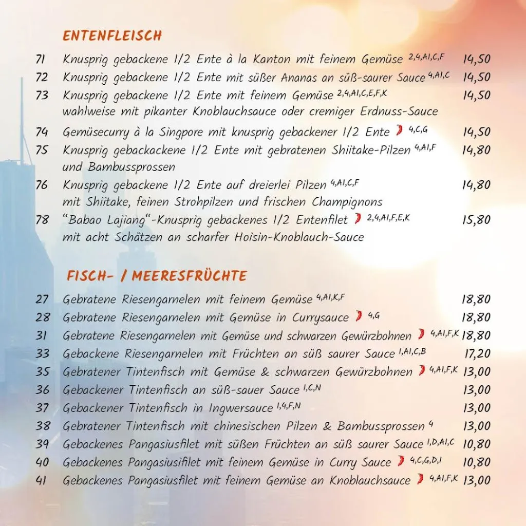 Menu_China City - Landshut_Landshut_image_2