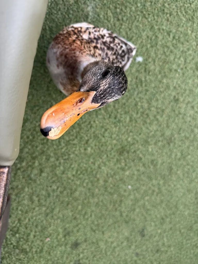 Michelle Oud_Aspendos Café, Bar & Restaurant_Nordhorn_review