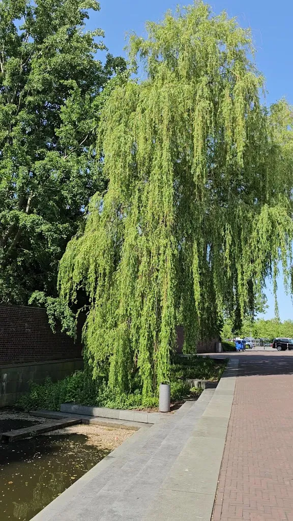 Aspendos Café, Bar & Restaurant_Nordhorn_slider_image_2