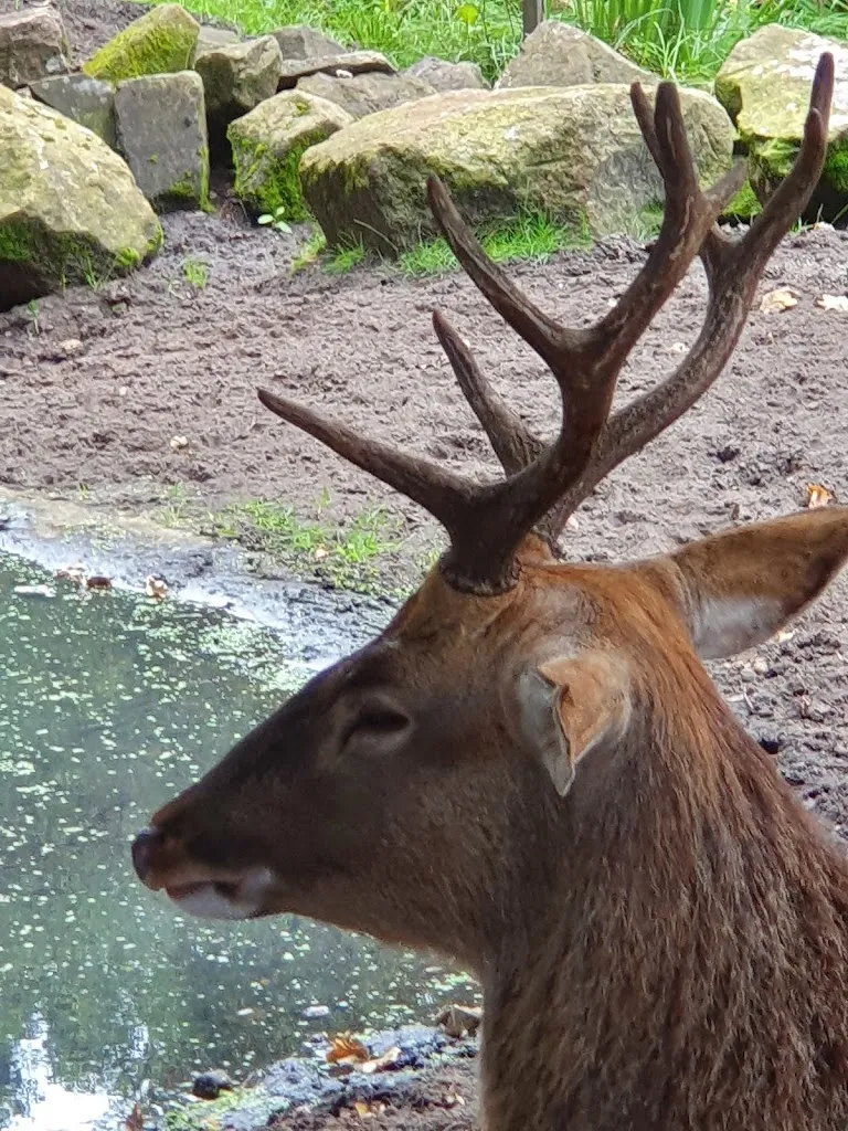 Ingrid Stevens_Gasthaus 