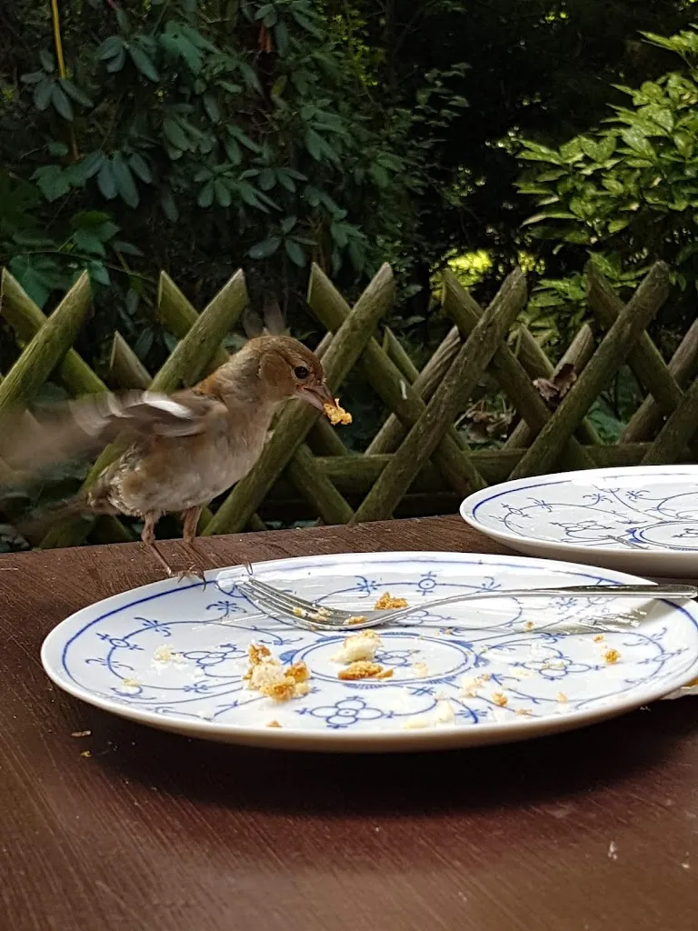 Menu_Melchers Hütte_Osterholz-Scharmbeck_image_5
