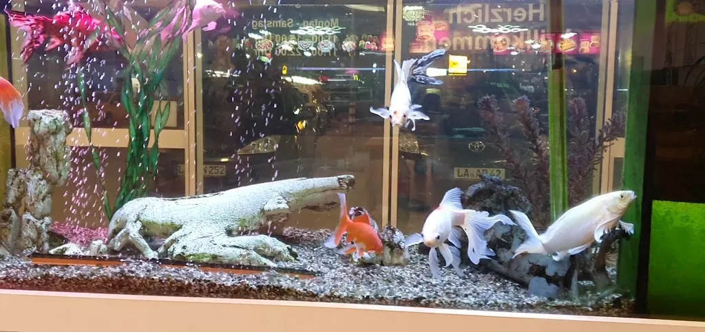 Cosy Restaurant (ehemals King Dong A)_Landshut_slider_image_2