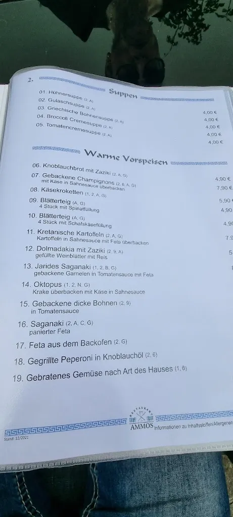 Menu_Restaurant Ammos_Pattensen_immagine_3