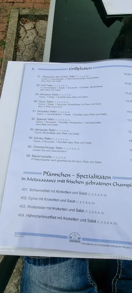 Menu_Restaurant Ammos_Pattensen_immagine_4