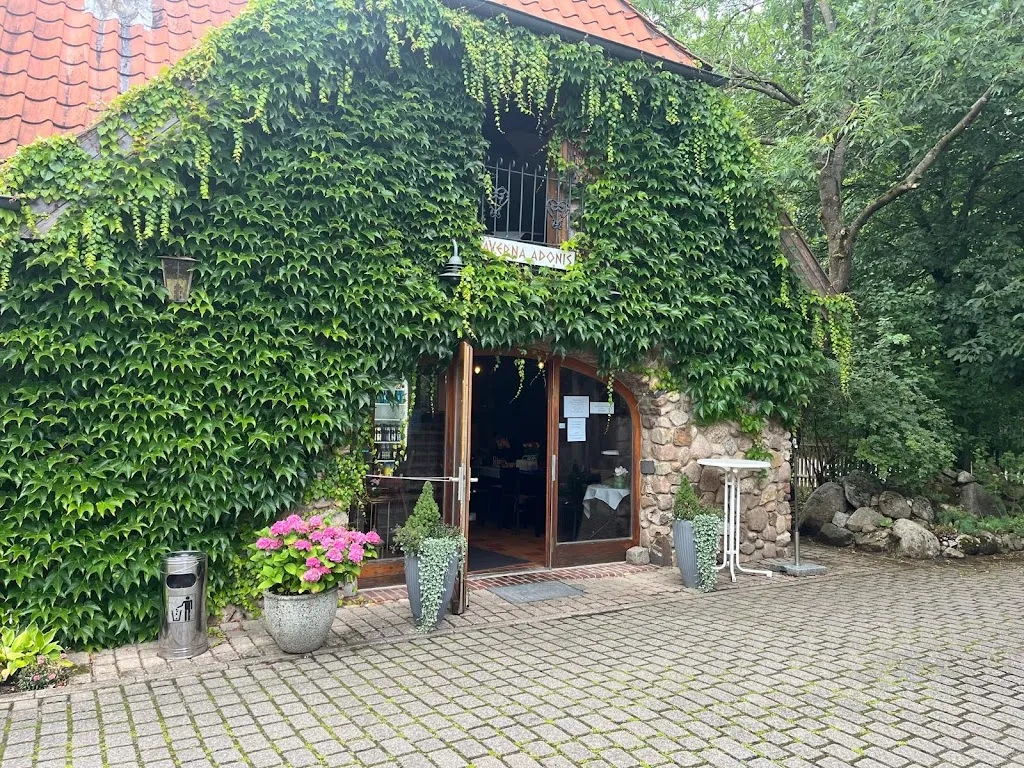 Taverna Adonis im alten Uhu_Reppenstedt_slider_image_2