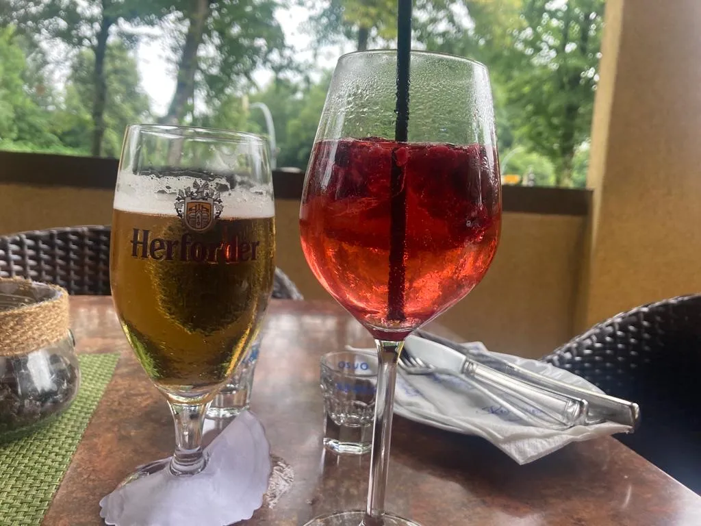 Menu_Apollon_Ritterhude_image_6