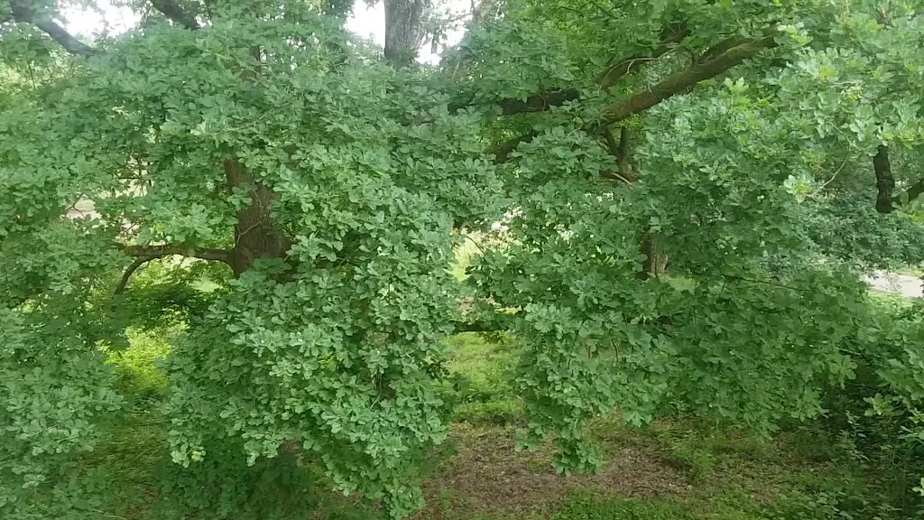 Pavilion De Posbank_Netherlands_slider_image_2