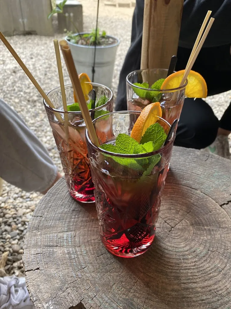 M Prins_WOODZ_Netherlands_review