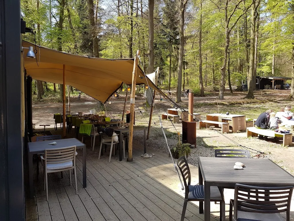 WOODZ_Netherlands_slider_image_1