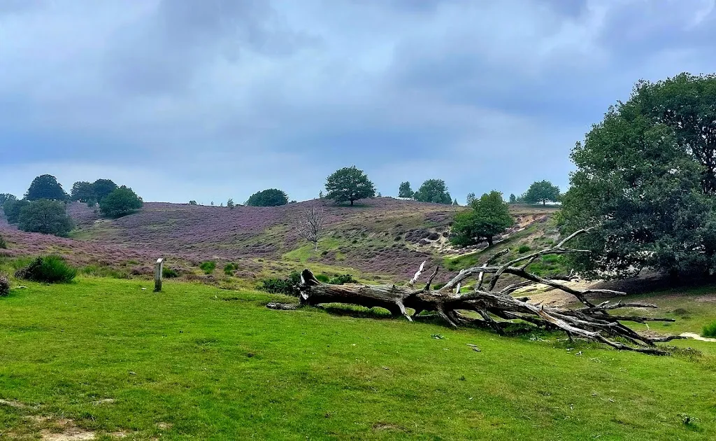 Posbank_Netherlands_slider_image_3