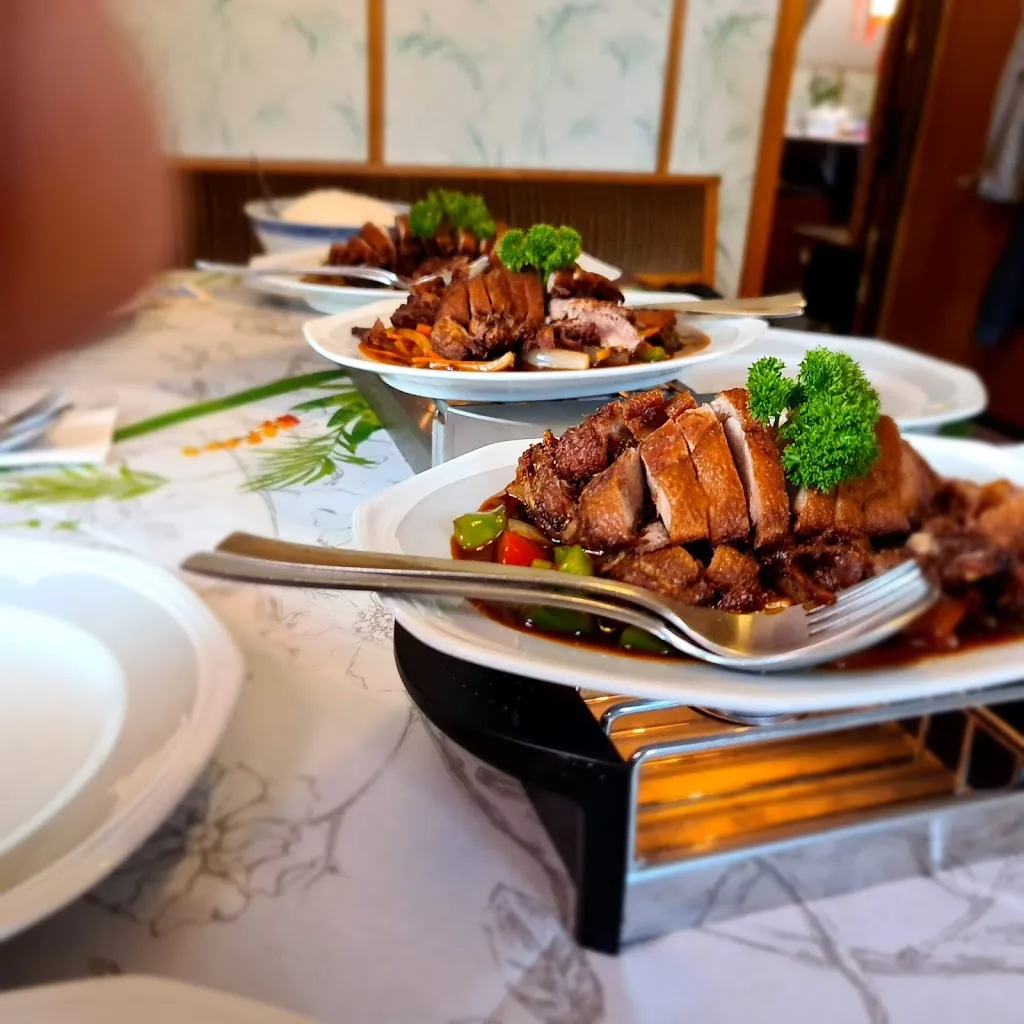 Menu_China-Restaurant Hay Yang GmbH_Salzhausen_image_7