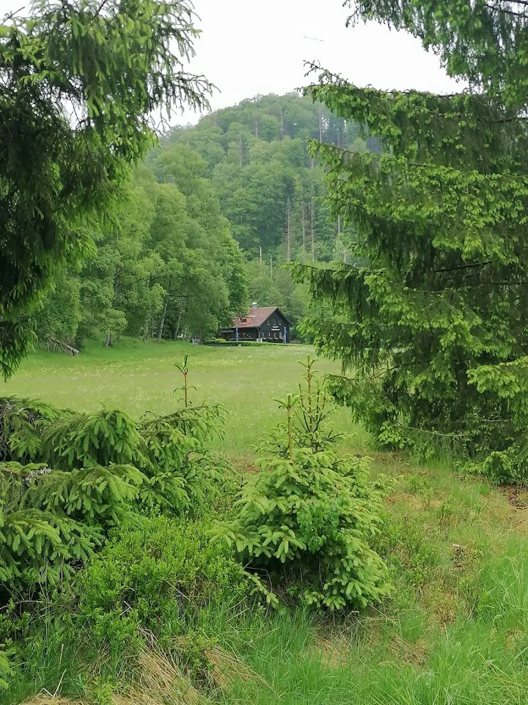 Sylvia MOOTZ_Waldgaststätte Rinderstall im Nationalpark Harz_Andreasberg_recensione