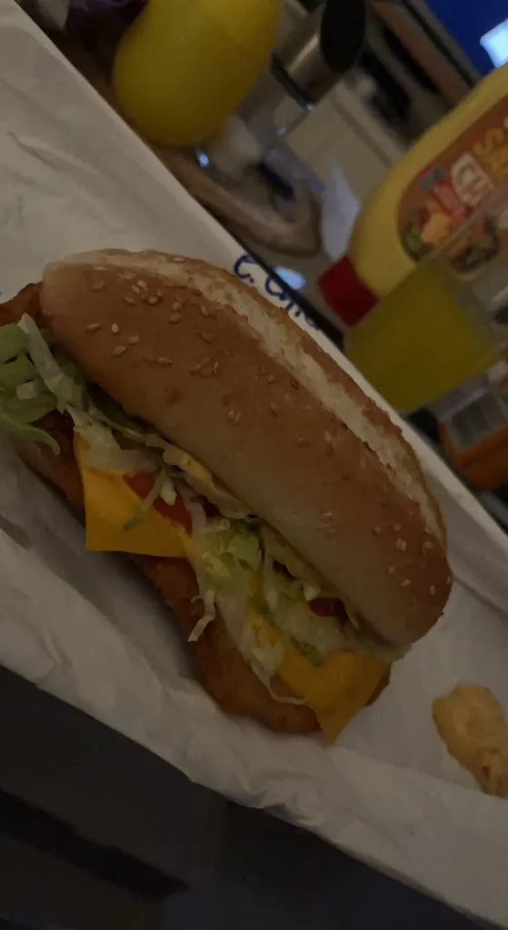 Menu_Piccaso Pizza & Burger Schladen - Prabhjot Singh_Schladen_immagine_5