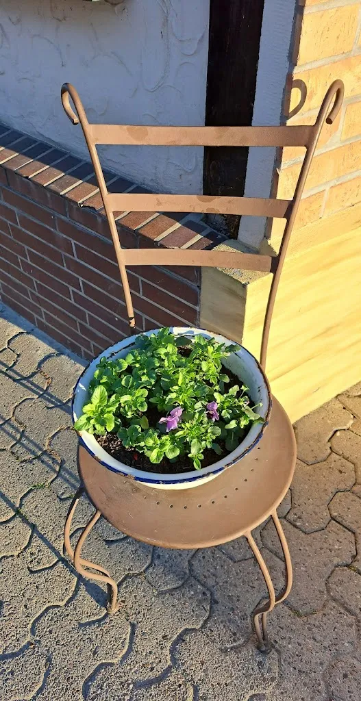 Barbara Koukal_...wie in Omas Küche_Schöningen_review