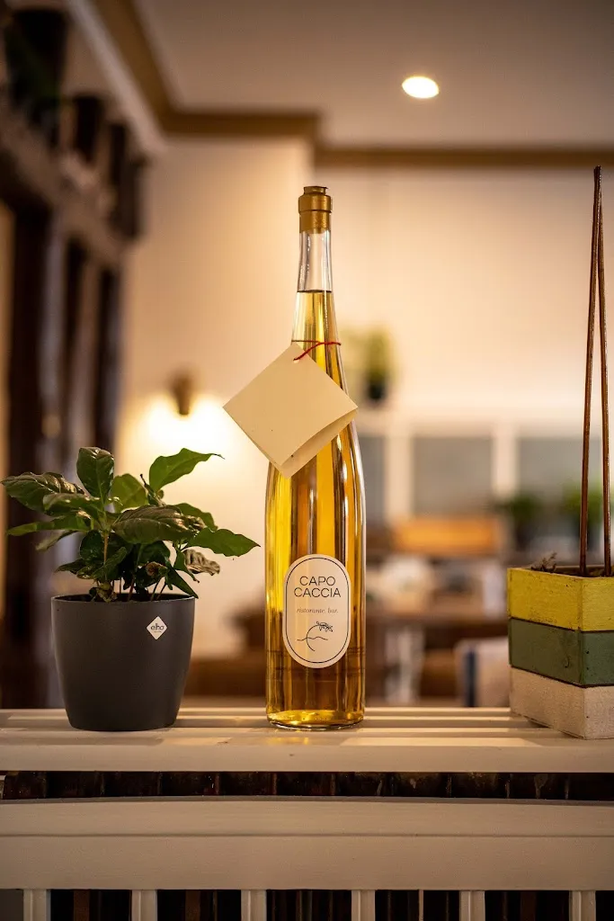 CAPO CACCIA ristorante. bar._Sulingen_slider_image_2