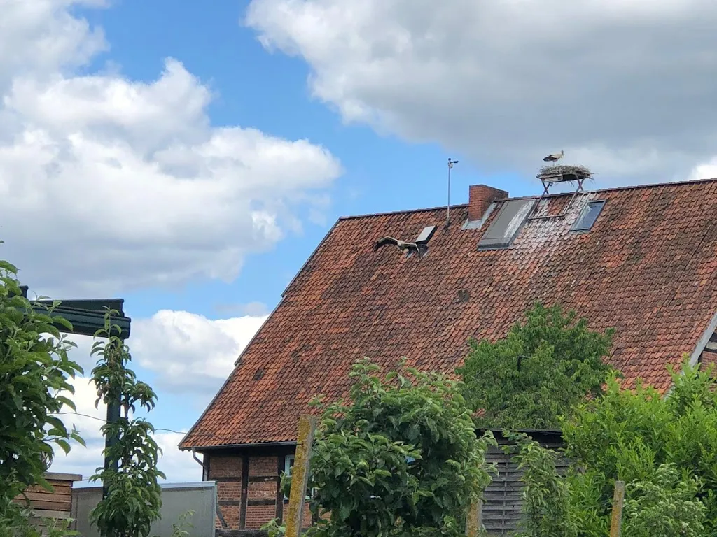 Tepe's Gasthof restaurant in Schwarmstedt