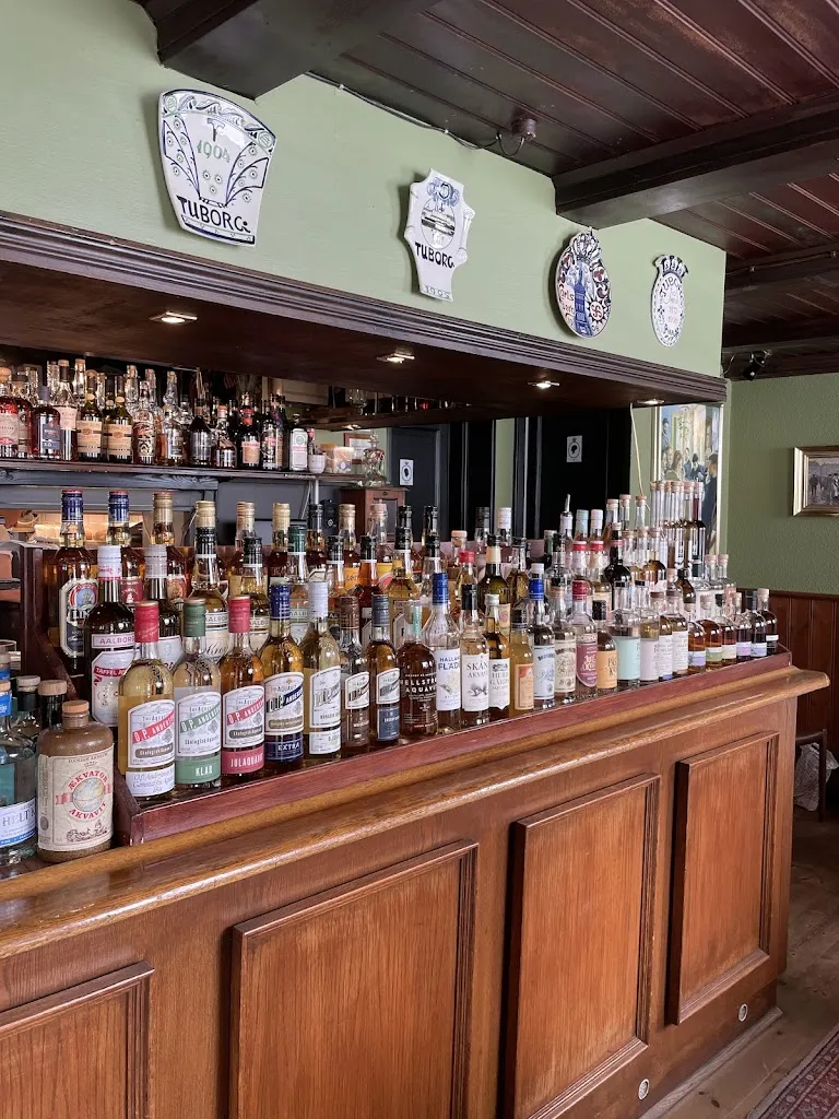 Olga Chelak_Schønnemann_Denmark_review