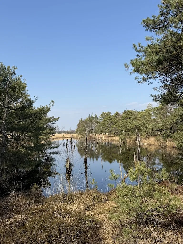 Dirk Schäuble_Restaurant DIE SCHÄFEREI_Schneverdingen_Bewertung