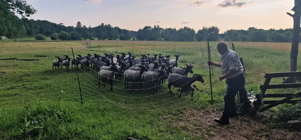 Roland Burk_Der Schnuckenhof_Schneverdingen_review