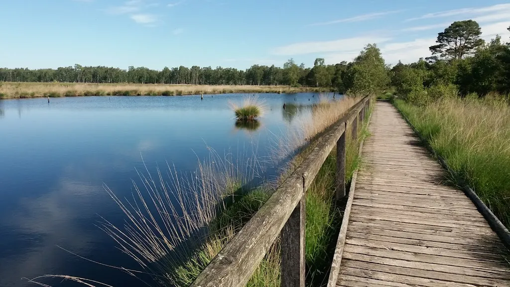 Pietzmoor - Wanderweg ristorante a Schneverdingen