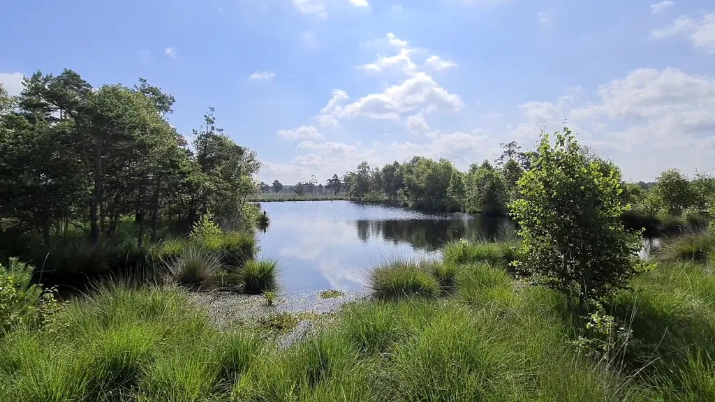 Pietzmoor - Wanderweg_Schneverdingen_slider_image_2