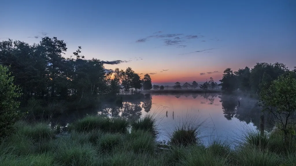 Pietzmoor - Wanderweg_Schneverdingen_slider_image_3