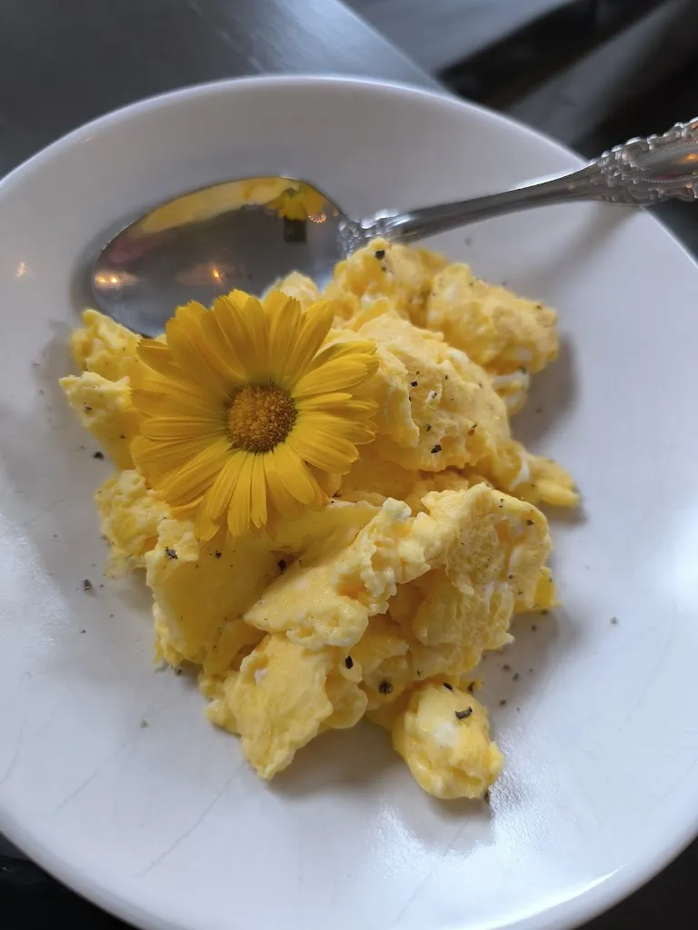 Menu_Kamelotta's Café_Soderstorf_immagine_4