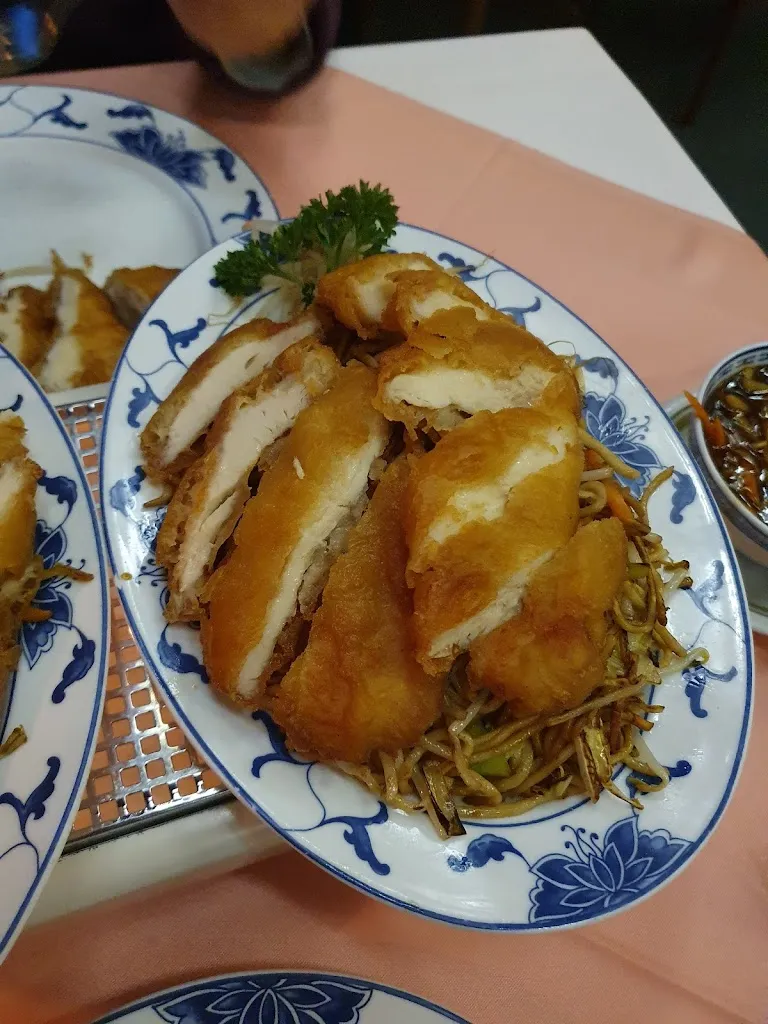 Menu_China-Restaurant Wong-Kei_Seelze_image_8