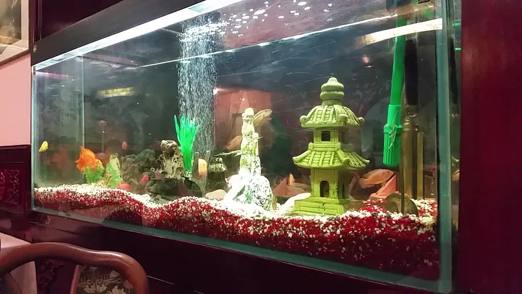 China-Restaurant Wong-Kei_Seelze_slider_image_2