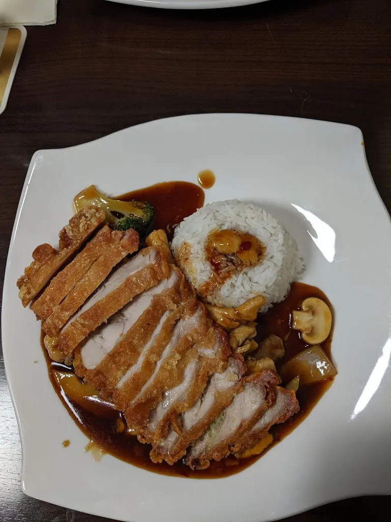 Menu_Happy Wok_Sögel_immagine_6