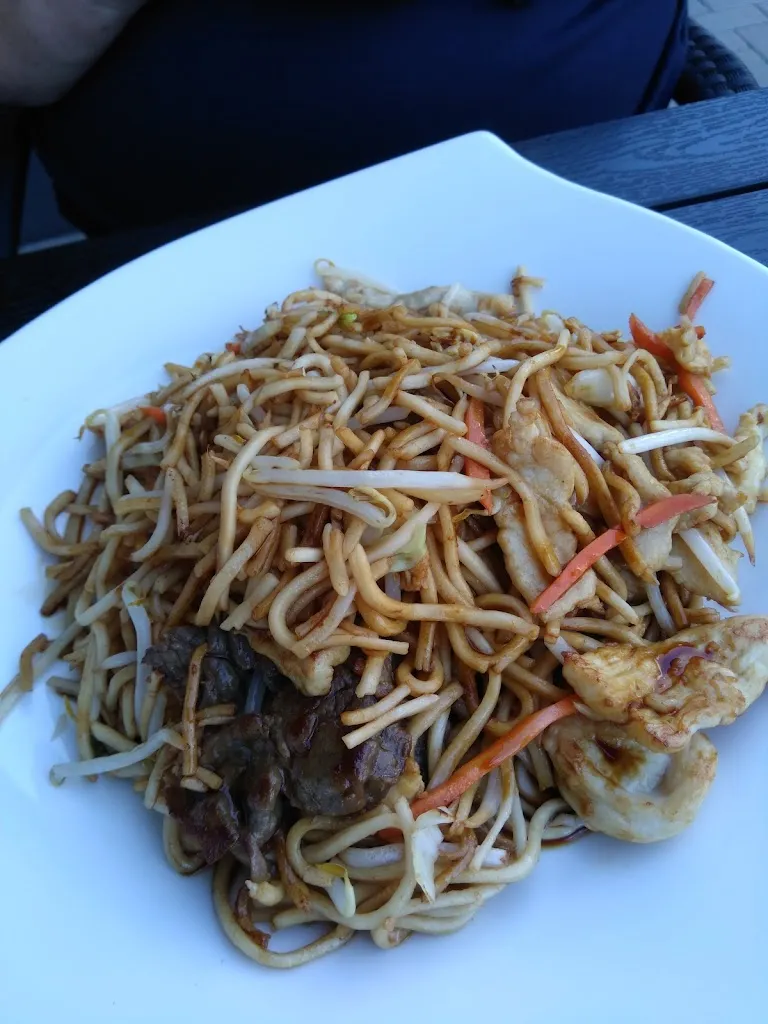 Menu_Happy Wok_Sögel_immagine_8