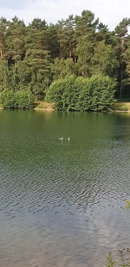 Iris-Britta Heemann (IBH65 Issi)_Alte Milchbar & VaroLibre Eventhaus_Spelle_review