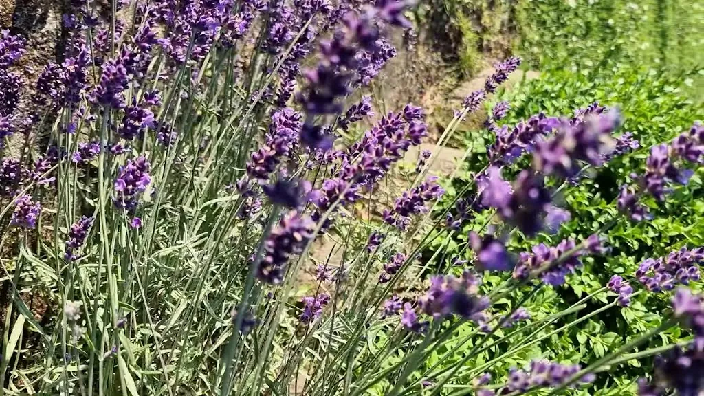 Haus am Eberbach Hotel - Restaurant_Stadtoldendorf_slider_image_2