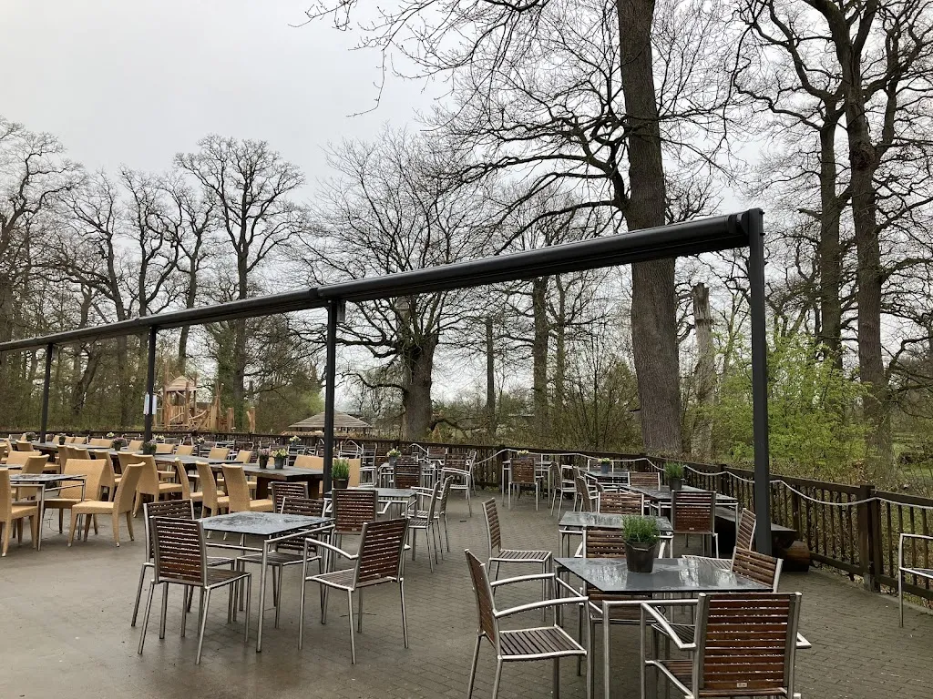 Café Wild _Springe_slider_image_3