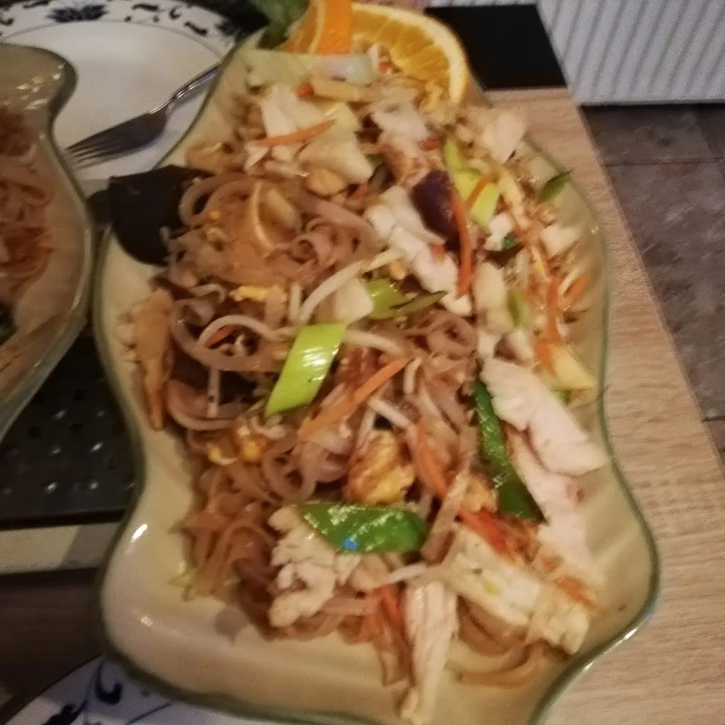 andreas kramer_Viet Thai Bambus Garten Restaurant_Stolzenau_review