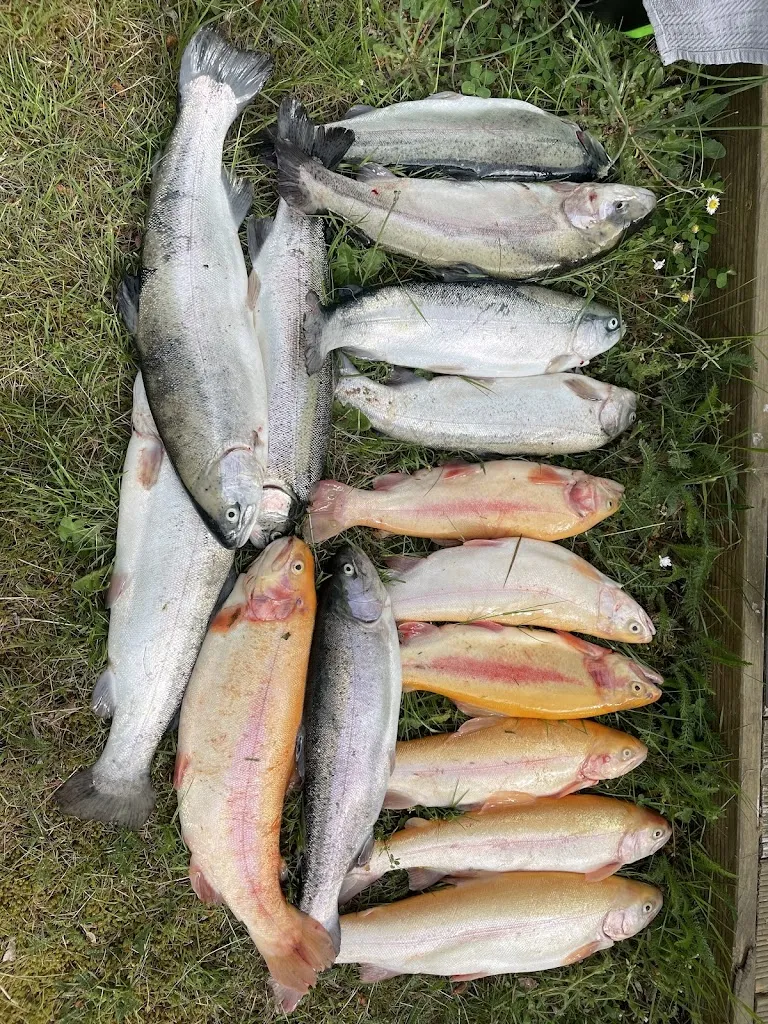 Menu_Forellenteich und Schlemmergrill in Bavendorf -_Thomasburg_immagine_7