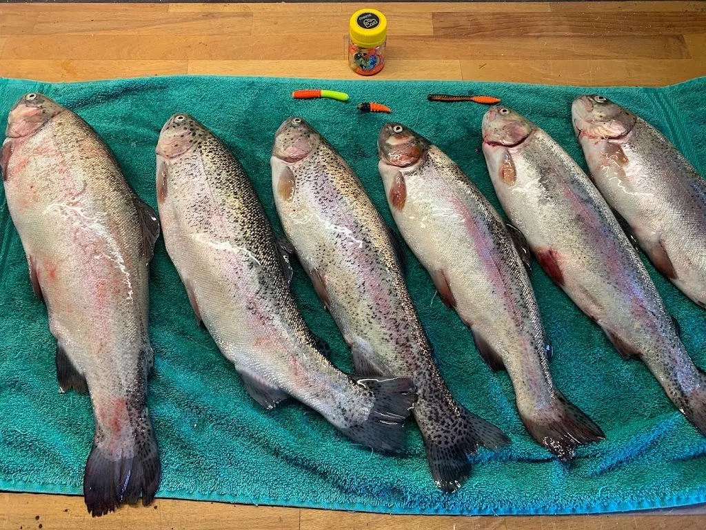 Menu_Forellenteich und Schlemmergrill in Bavendorf -_Thomasburg_immagine_9