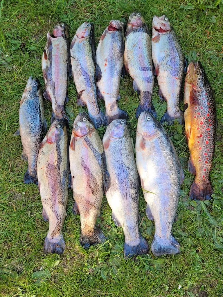 Slow man_Forellenteich und Schlemmergrill in Bavendorf -_Thomasburg_avis