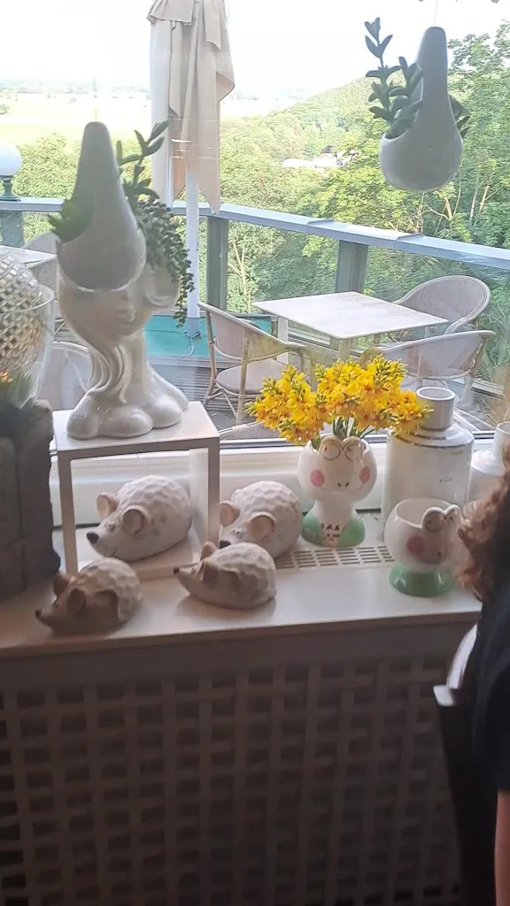 Barnet Mark_Panoramarestaurant Carlsburg_Falkenberg_review