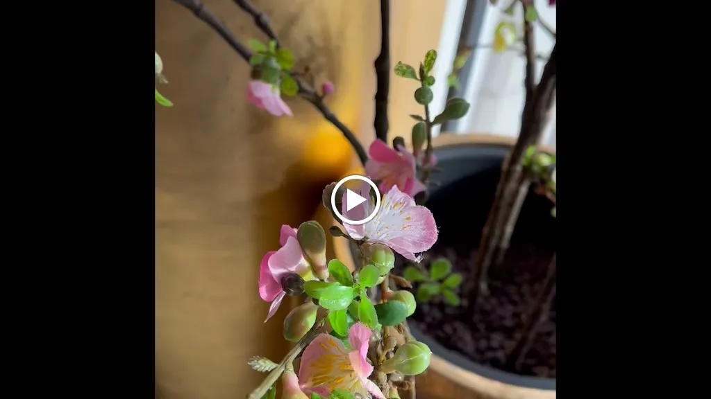 Asia Dai Wok Sushi_Tostedt_slider_image_2