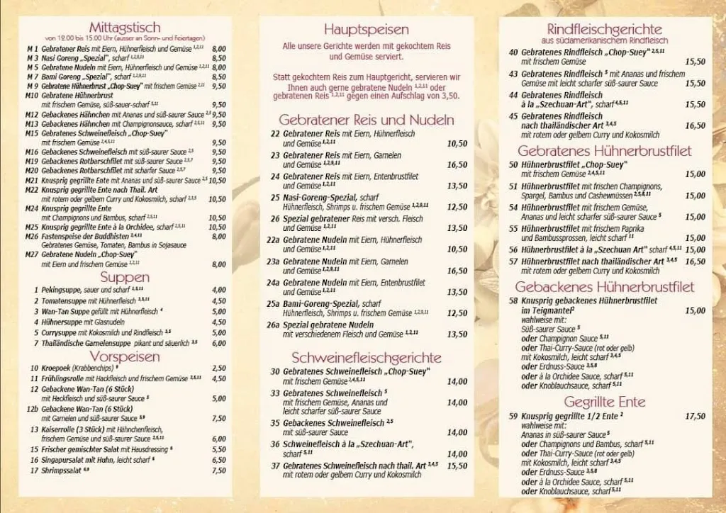Menu_Chinesisches Restaurant Orchidee_Twistringen_image_1