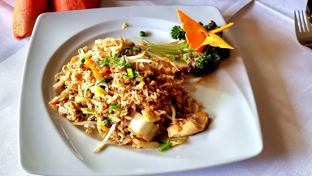 Menu_Chinesisches Restaurant Orchidee_Twistringen_image_5