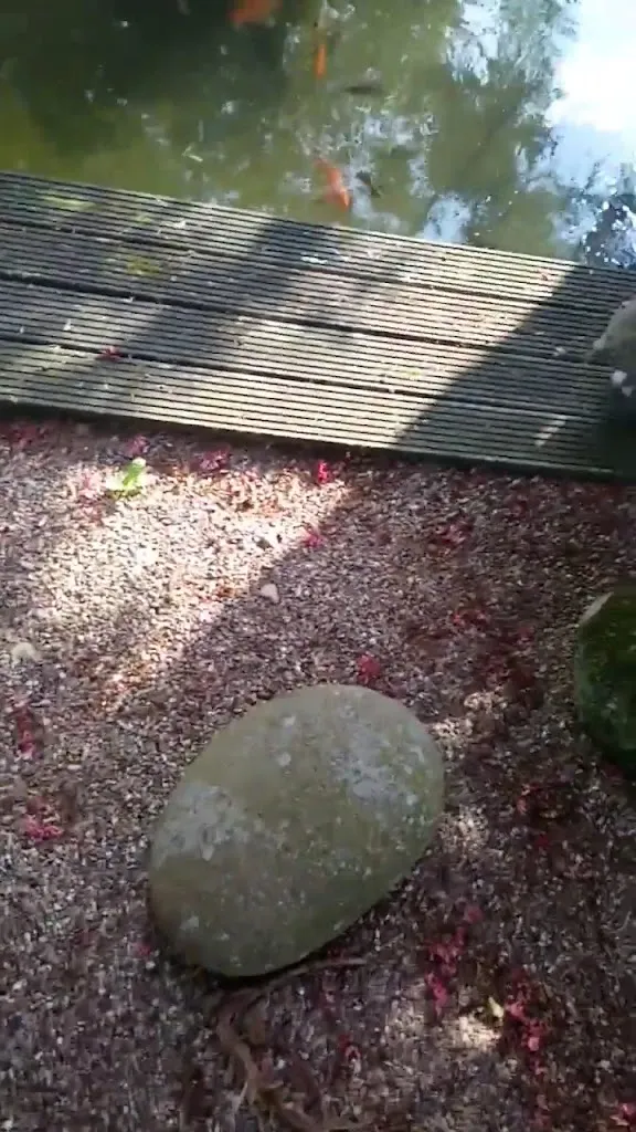 Forellenhof Holzenkamp_Visbek_slider_image_2