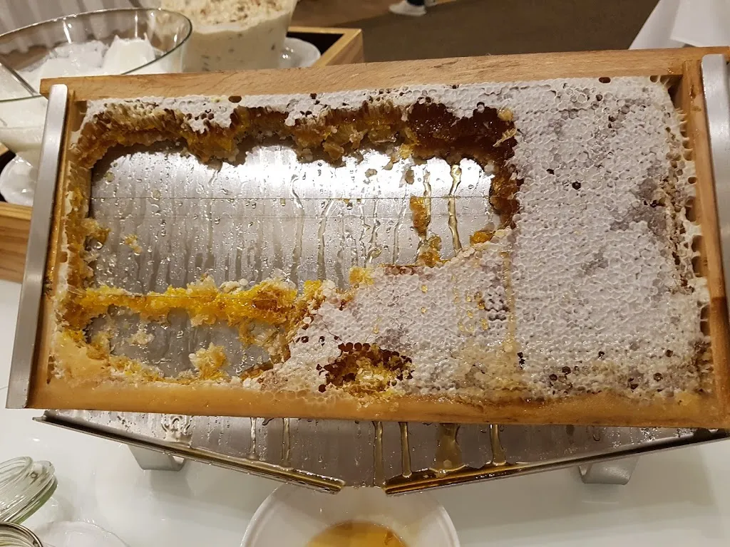 Menu_Restaurant Entenblick_Varel_image_6