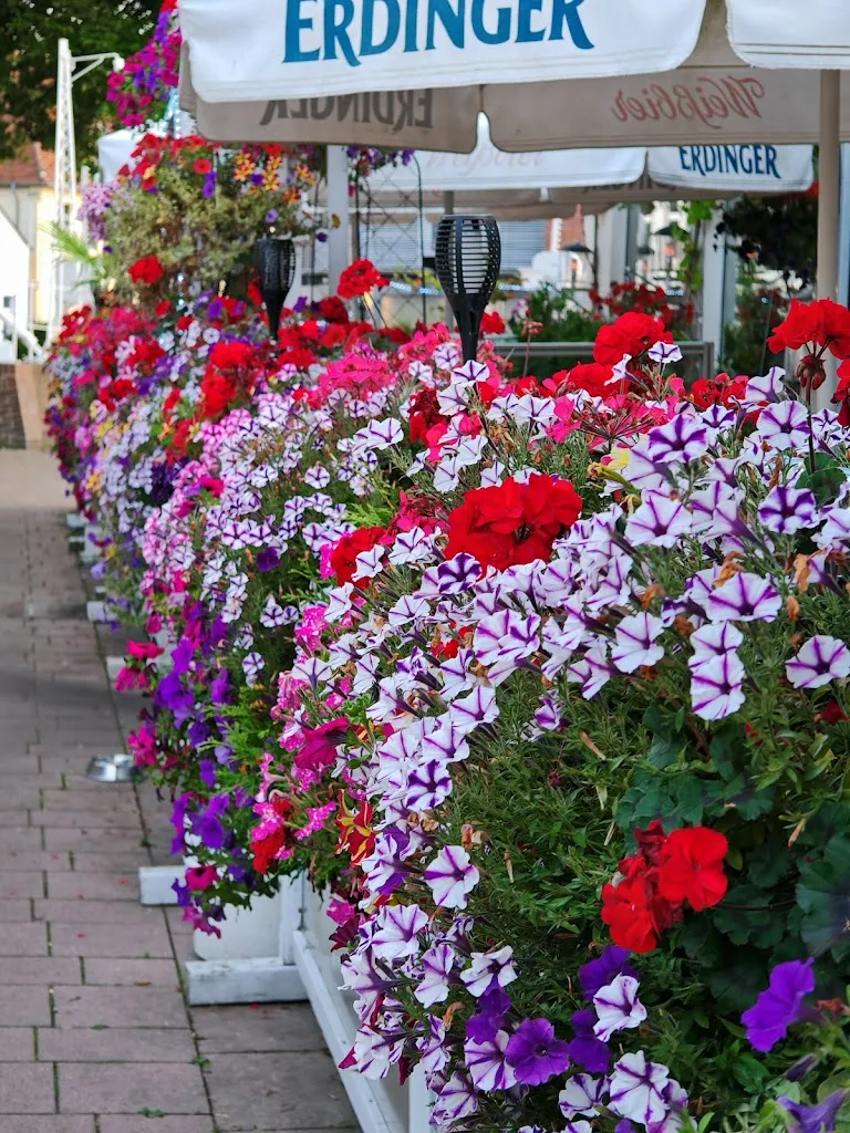 David Zivku_Delikato_Varel_review